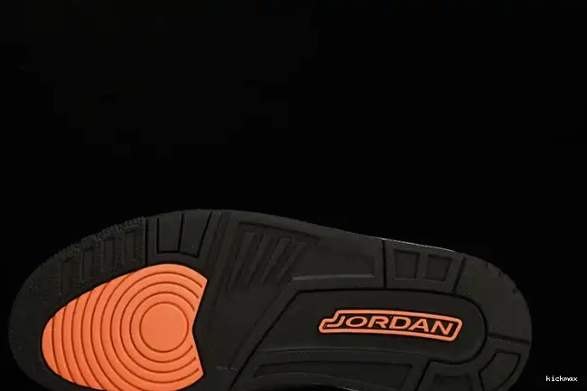 Rep Jordan 3 